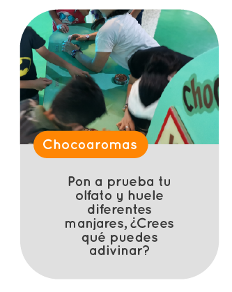 Cacao-23